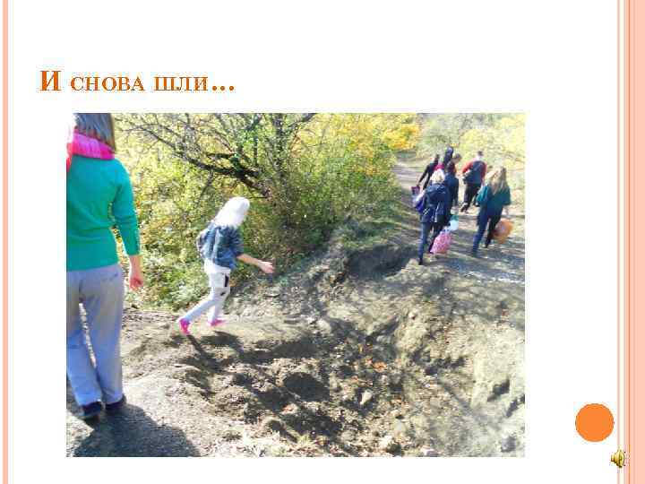 И СНОВА ШЛИ… 