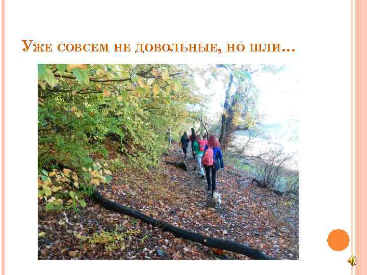 УЖЕ СОВСЕМ НЕ ДОВОЛЬНЫЕ, НО ШЛИ… 