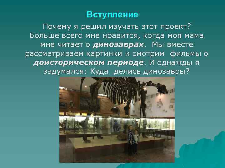 Вступление Почему я решил изучать этот проект? Больше всего мне нравится, когда моя мама