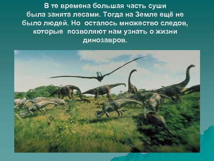 В те времена большая часть суши была занята лесами. Тогда на Земле ещё не