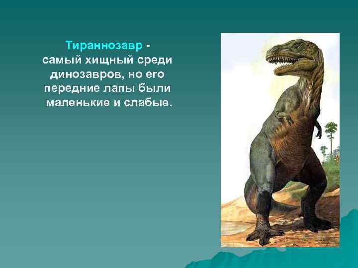 Тираннозавр самый хищный среди динозавров, но его передние лапы были маленькие и слабые. 