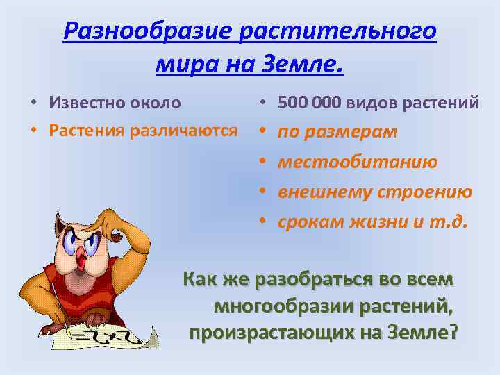 Разнообразие растительного мира на Земле. • Известно около • Растения различаются • 500 000