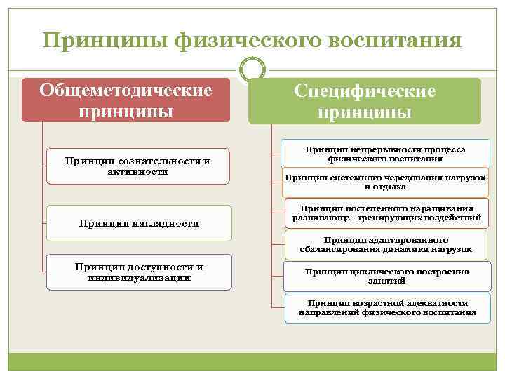 Принципы физического воспитания Общеметодические принципы Принцип сознательности и активности Принцип наглядности Специфические принципы Принцип