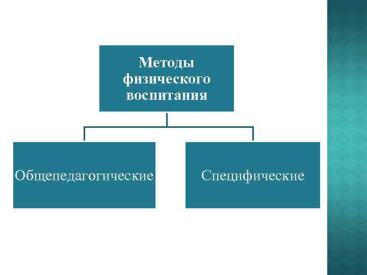 Методы физического воспитания Общепедагогические Специфические 