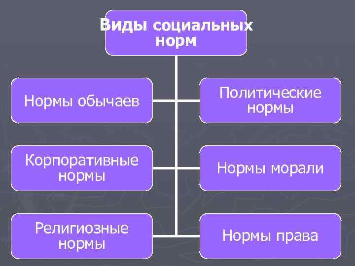 Виды социальных норм Нормы обычаев Политические нормы Корпоративные нормы Нормы морали Религиозные нормы Нормы