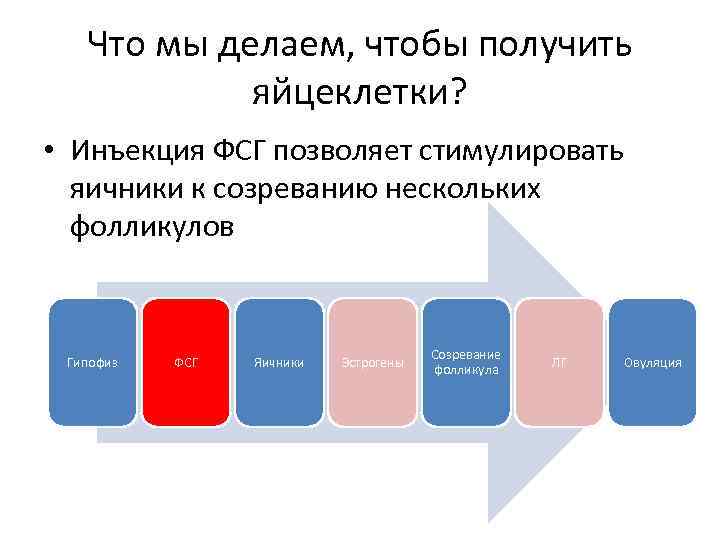 Что мы делаем, чтобы получить яйцеклетки? • Инъекция ФСГ позволяет стимулировать яичники к созреванию