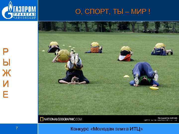 О, СПОРТ, ТЫ – МИР ! Р Ы Ж И Е 7 Конкурс «Молодая
