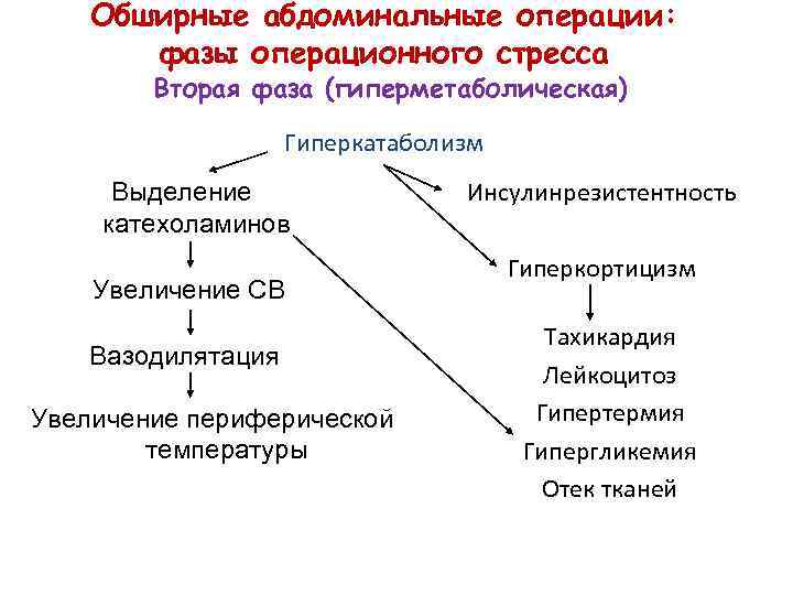 Обширные абдоминальные операции: фазы операционного стресса Вторая фаза (гиперметаболическая) Гиперкатаболизм Выделение катехоламинов Увеличение СВ