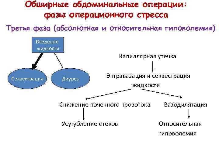 Обширные абдоминальные операции: фазы операционного стресса Третья фаза (абсолютная и относительная гиповолемия) Введение жидкости