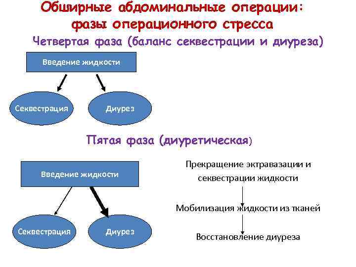 Обширные абдоминальные операции: фазы операционного стресса Четвертая фаза (баланс секвестрации и диуреза) Введение жидкости