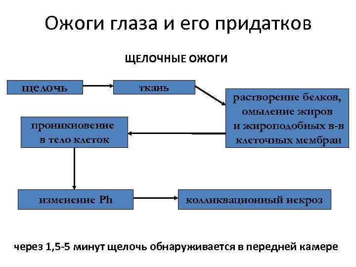 Ожоги глаза и его придатков ЩЕЛОЧНЫЕ ОЖОГИ щелочь проникновение в тело клеток изменение Ph