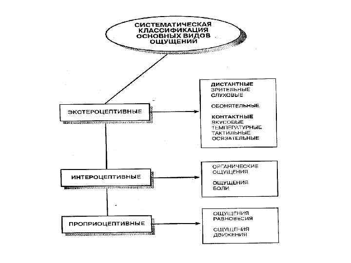 Дистантные ощущения. Классификация ощущений в психологии. Схема классификация ощущений в психологии. Классификация видов ощущений в психологии. Классификации ощущений. Виды ощущений..