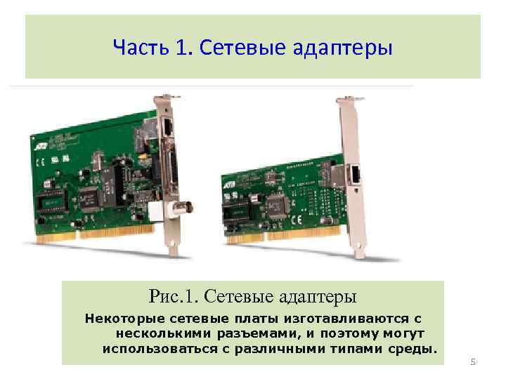Часть 1. Сетевые адаптеры Рис. 1. Сетевые адаптеры Некоторые сетевые платы изготавливаются с несколькими