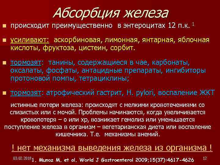 Абсорбция железа n происходит преимущественно в энтероцитах 12 п. к. 1 n усиливают: аскорбиновая,