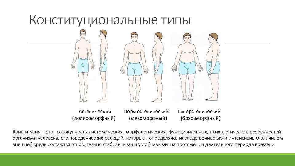 Конституциональные типы Астенический Нормостенический Гиперстенический (долихоморфный) (мезоморфный) (брахиморфный) Конституция - это совокупность анатомических, морфологических,