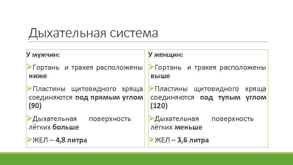 Дыхательная система У мужчин: У женщин: ØГортань и трахея расположены ØГортань и трахея расположены