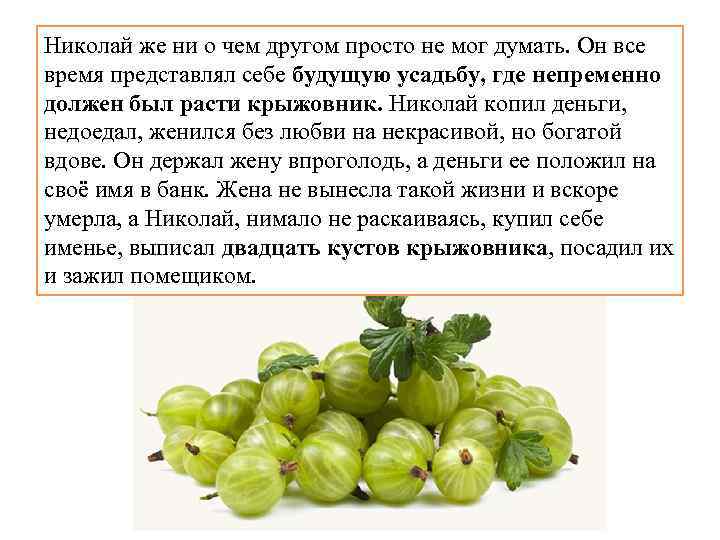 Николай же ни о чем другом просто не мог думать. Он все время представлял