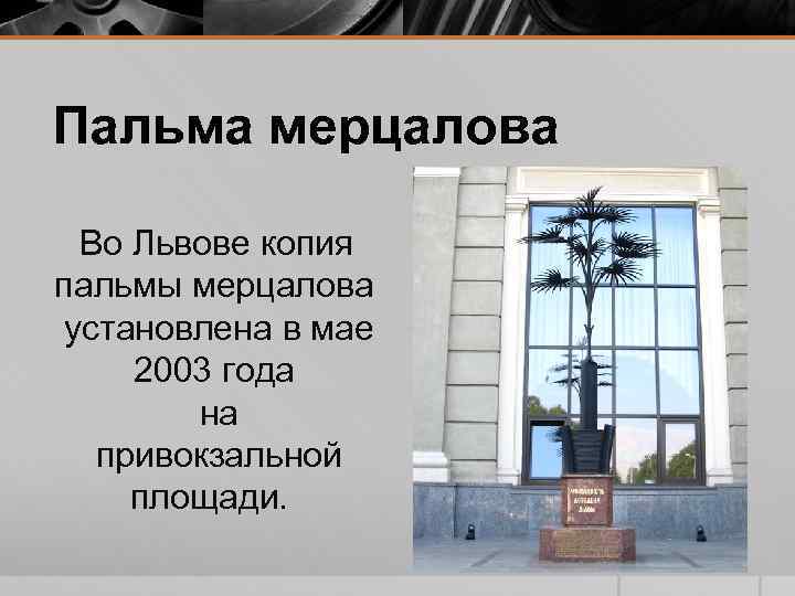 Пальма мерцалова Во Львове копия пальмы мерцалова установлена в мае 2003 года на привокзальной
