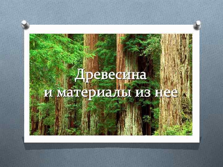 Древесина и материалы из нее 