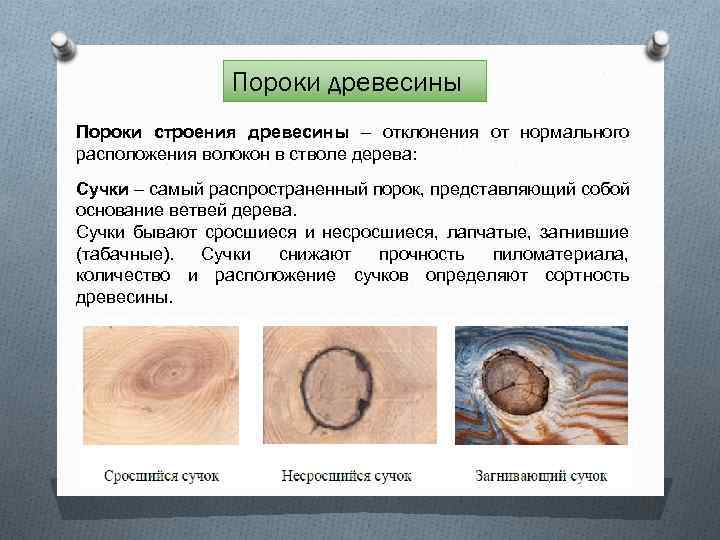 Пороки древесины Пороки строения древесины – отклонения от нормального расположения волокон в стволе дерева: