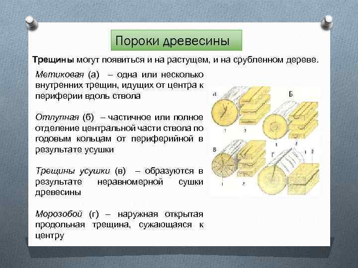 Пороки древесины Трещины могут появиться и на растущем, и на срубленном дереве. Метиковая (а)