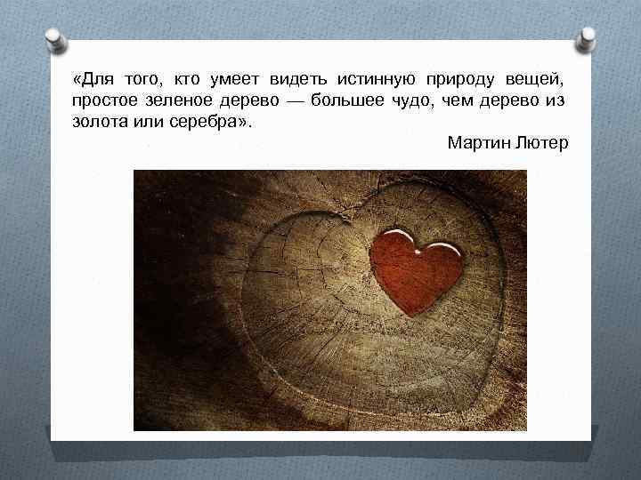  «Для того, кто умеет видеть истинную природу вещей, простое зеленое дерево — большее