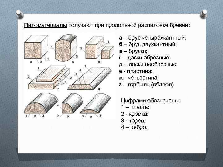 Пиломатериалы получают при продольной распиловке бревен: а – брус четырёхкантный; б – брус двухкантный;