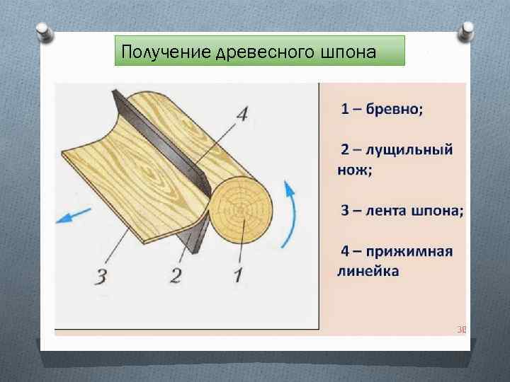 Получение древесного шпона 