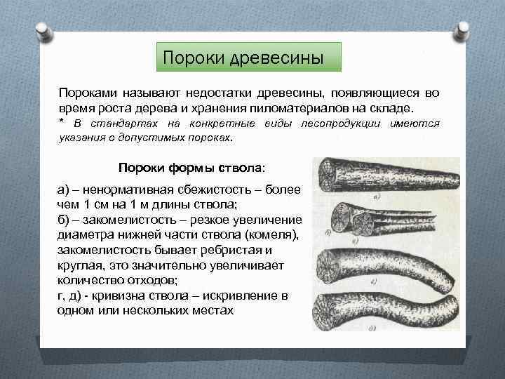 Пороки древесины Пороками называют недостатки древесины, появляющиеся во время роста дерева и хранения пиломатериалов