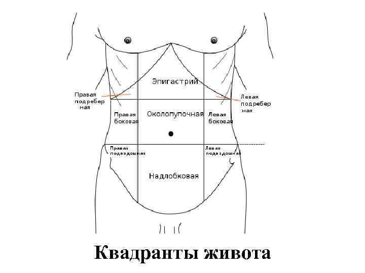 Эпигастрий находится у человека. Квадранты брюшной стенки. Переднебоковая стенка живота схема. Верхний правый Квадрант брюшной стенки. Эпигастральная зона желудка.
