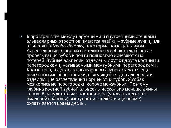  В пространстве между наружными и внутренними стенками альвеолярных отростков имеются ячейки – зубные