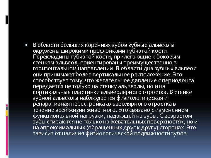  В области больших коренных зубов зубные альвеолы окружены широкими прослойками губчатой кости. Перекладины