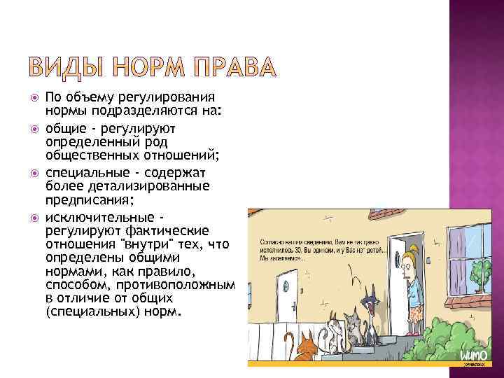  По объему регулирования нормы подразделяются на: общие - регулируют определенный род общественных отношений;