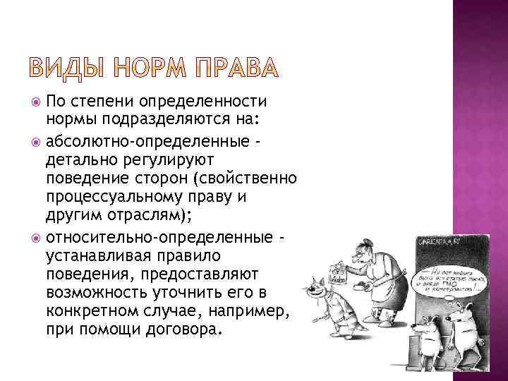 По степени определенности нормы подразделяются на: абсолютно-определенные детально регулируют поведение сторон (свойственно процессуальному праву