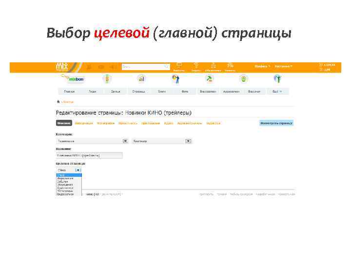 Выбор целевой (главной) страницы 