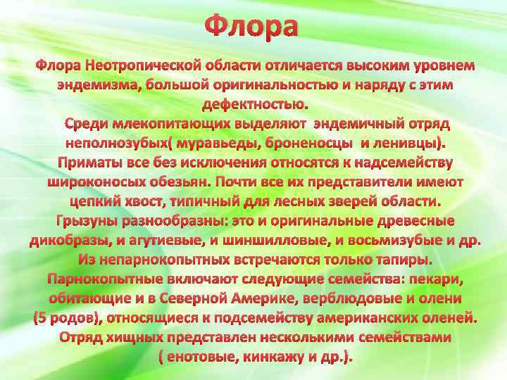 Флора Неотропической области отличается высоким уровнем эндемизма, большой оригинальностью и наряду с этим дефектностью.