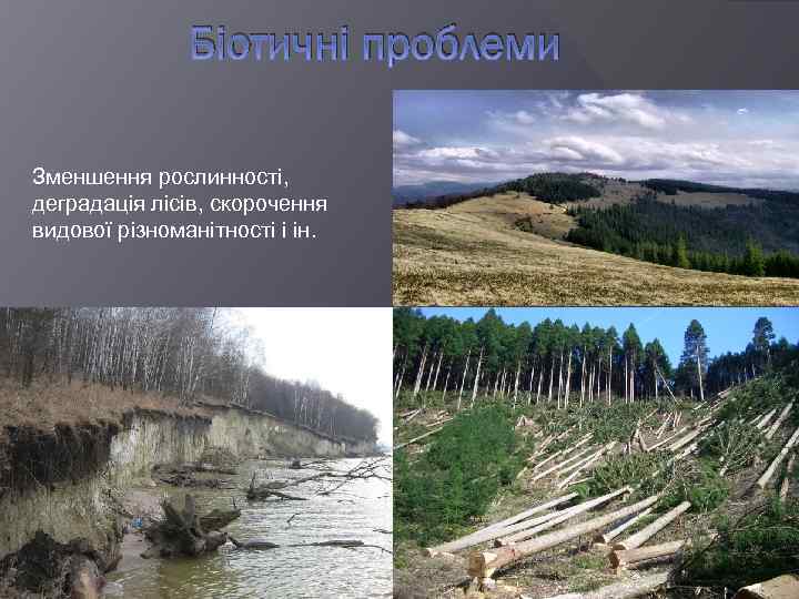 Біотичні проблеми Зменшення рослинності, деградація лісів, скорочення видової різноманітності і ін. 