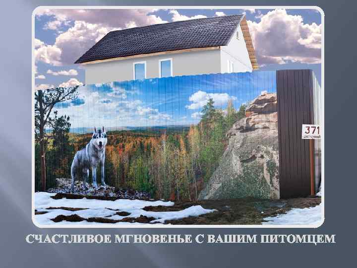 СЧАСТЛИВОЕ МГНОВЕНЬЕ С ВАШИМ ПИТОМЦЕМ 