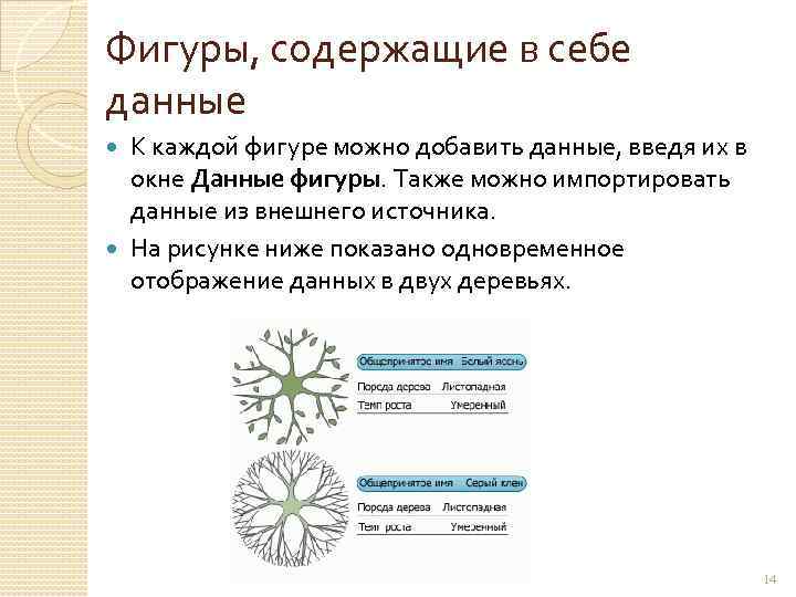 Фигуры, содержащие в себе данные К каждой фигуре можно добавить данные, введя их в