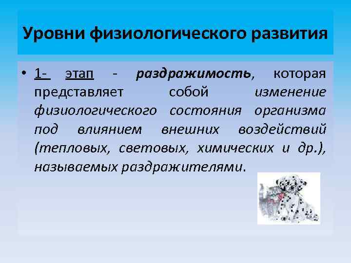 Уровни физиологического развития • 1 - этап - раздражимость, которая представляет собой изменение физиологического