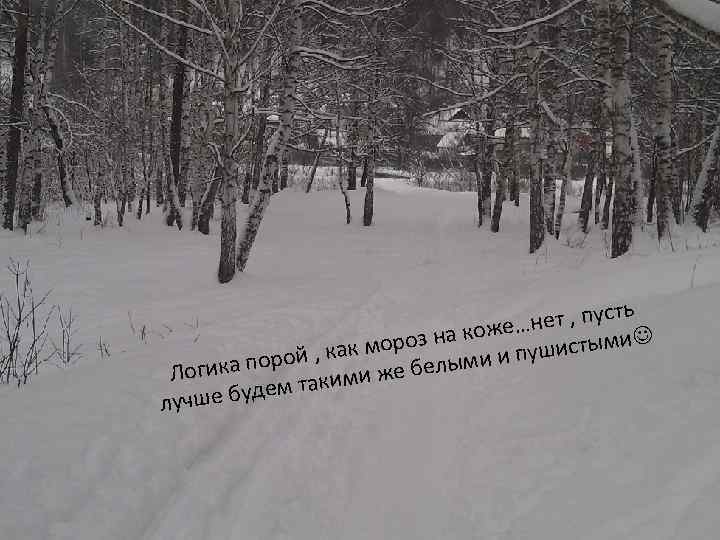 ь нет , пуст е… оз на кож ушистыми р й , как мо