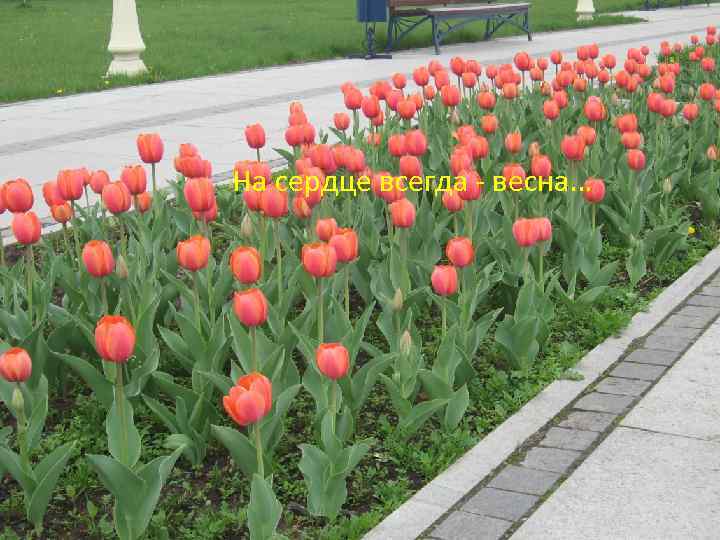 На сердце всегда - весна… 