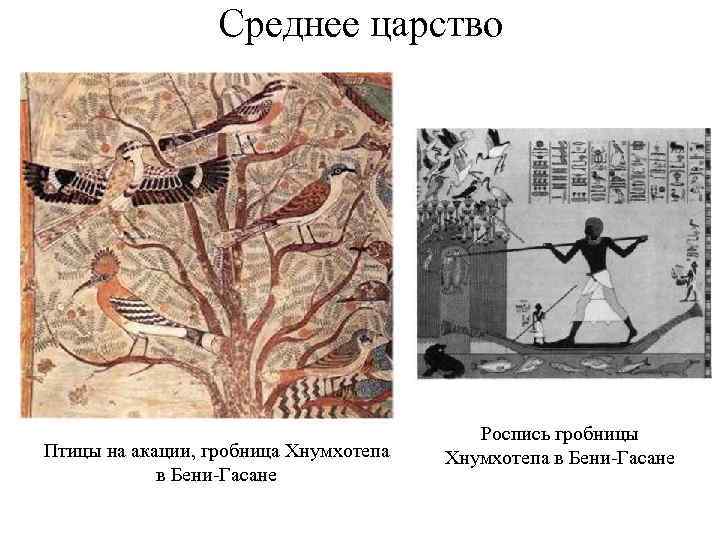 Среднее царство Птицы на акации, гробница Хнумхотепа в Бени-Гасане Роспись гробницы Хнумхотепа в Бени-Гасане