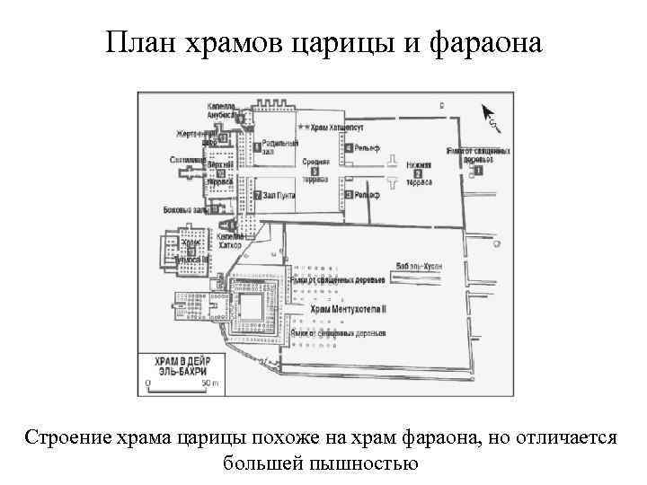 План храмов царицы и фараона Строение храма царицы похоже на храм фараона, но отличается