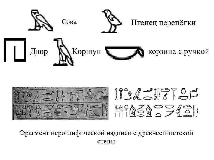 Сова Двор Коршун Птенец перепёлки корзина с ручкой Фрагмент иероглифической надписи с древнеегипетской стелы