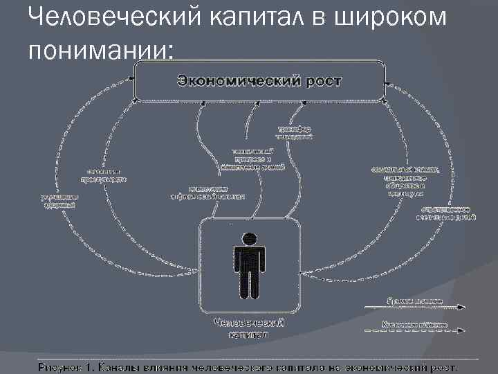 Человеческий капитал в широком понимании: 