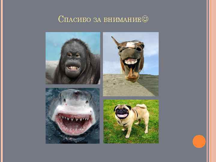 СПАСИБО ЗА ВНИМАНИЕ 