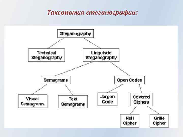 Таксономия стеганографии: 