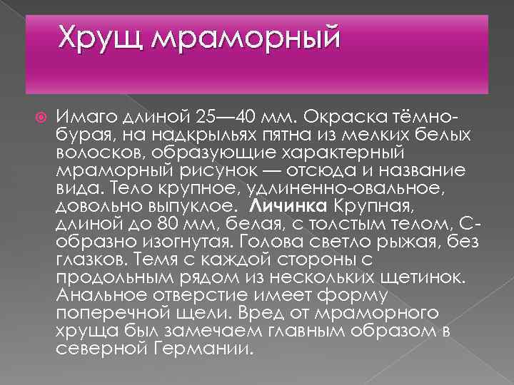 Хрущ мраморный Имаго длиной 25— 40 мм. Окраска тёмнобурая, на надкрыльях пятна из мелких