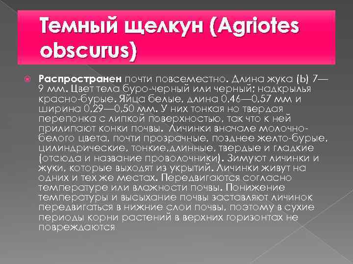 Темный щелкун (Agriotes obscurus) Распространен почти повсеместно. Длина жука (Ь) 7— 9 мм. Цвет